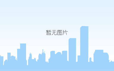 海利集团十三五中期规划——指导思想与发展战略重点